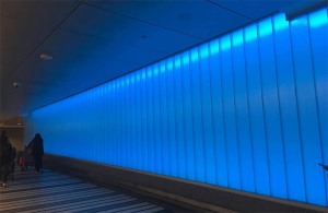 彩色U型kaiyuan开元官方在线入口